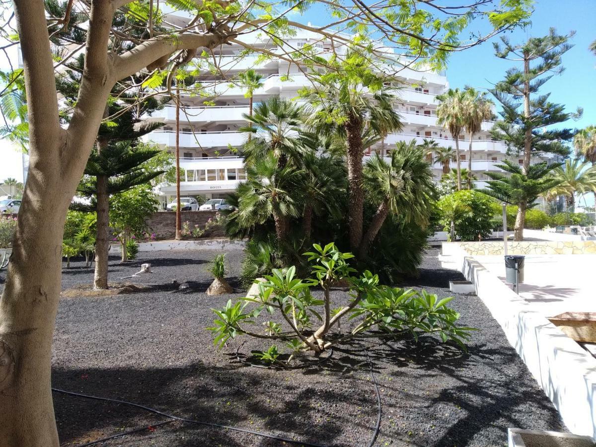 Apartament Vina Del Mar Playa de las Americas  Zewnętrze zdjęcie